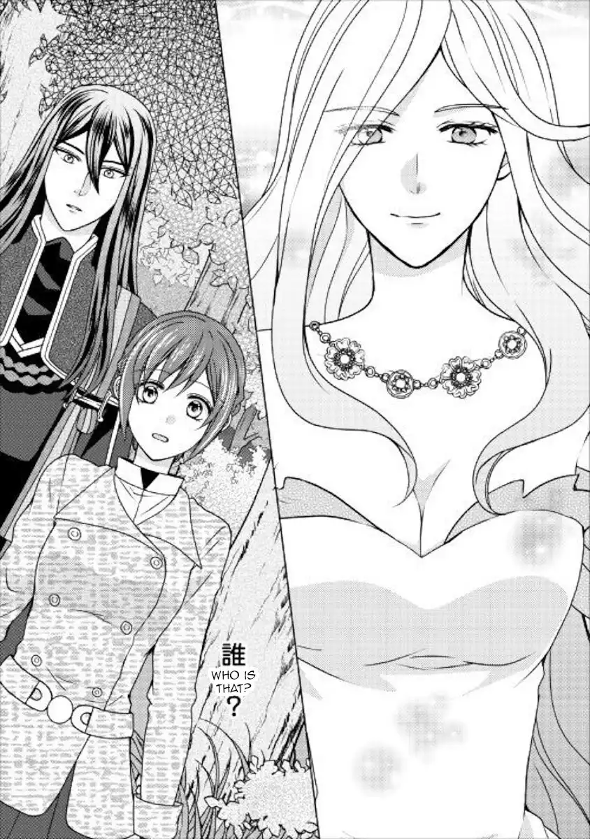 From Maid to Mother Chapter 47 27